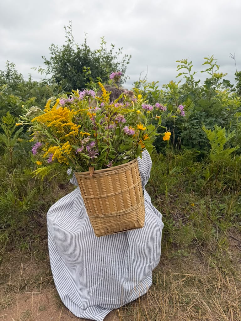Freshly gathered St. John's wort