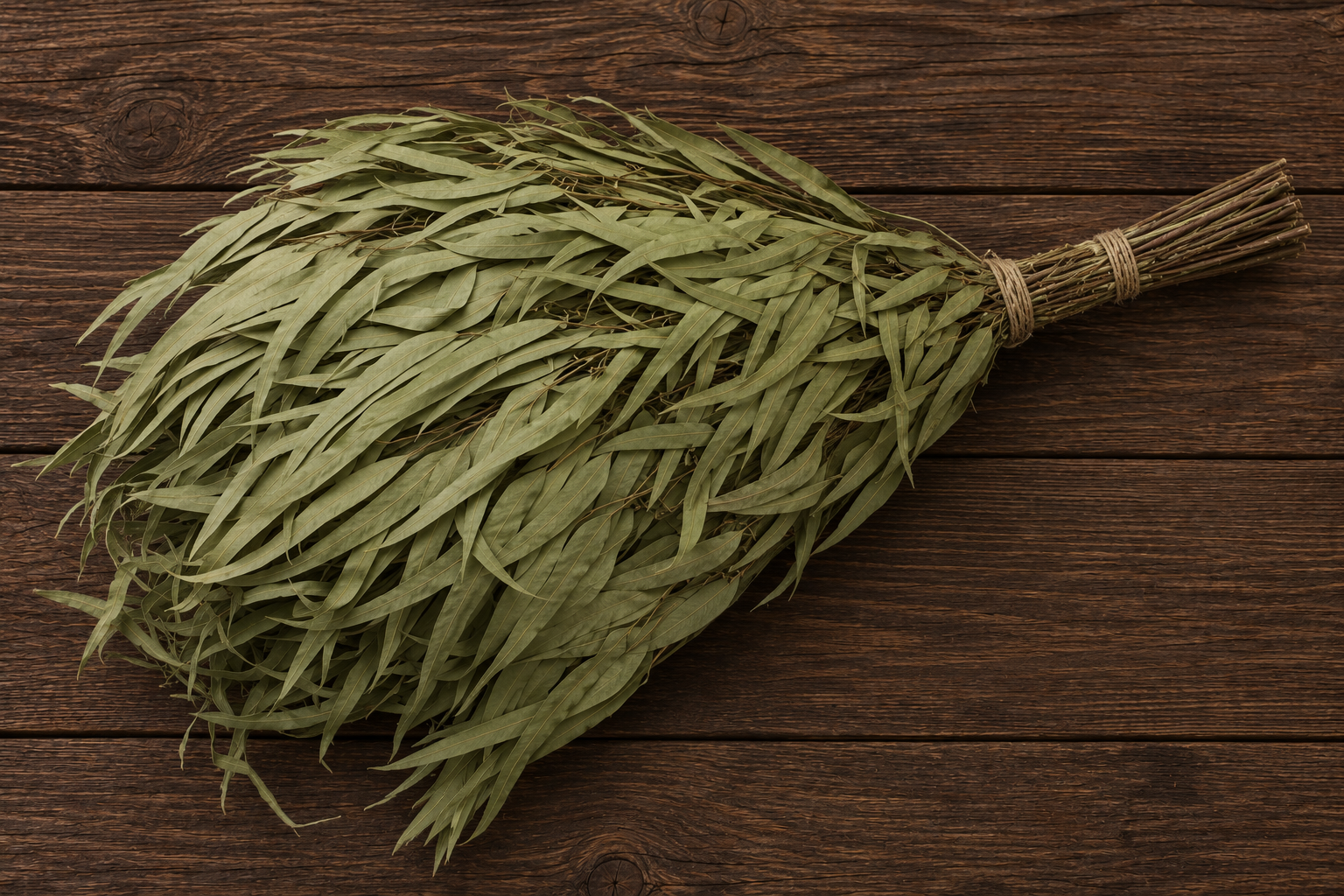 Premium dried eucalyptus sauna venik