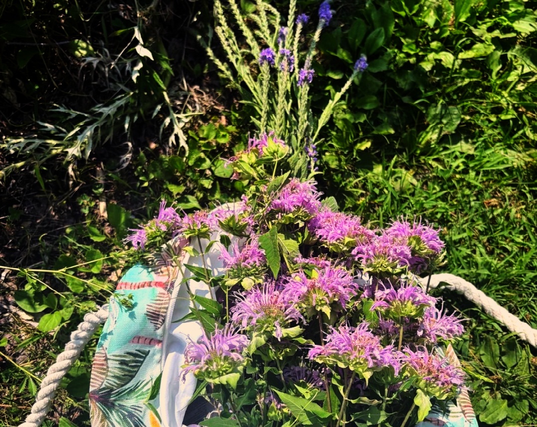 Botanical Apothecary